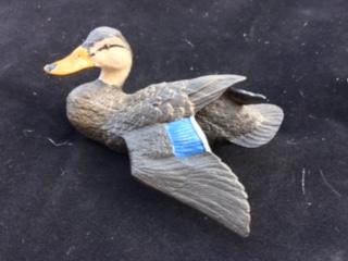 Black Duck by Roger Desjardins-Collectible Series