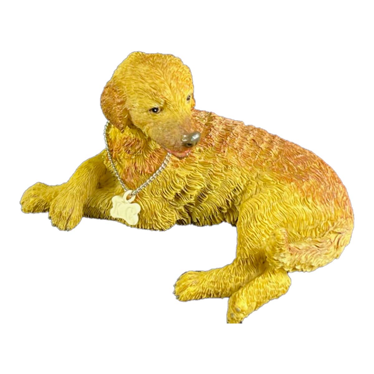Chesapeake Bay Retriever-Kennel Club Dogs