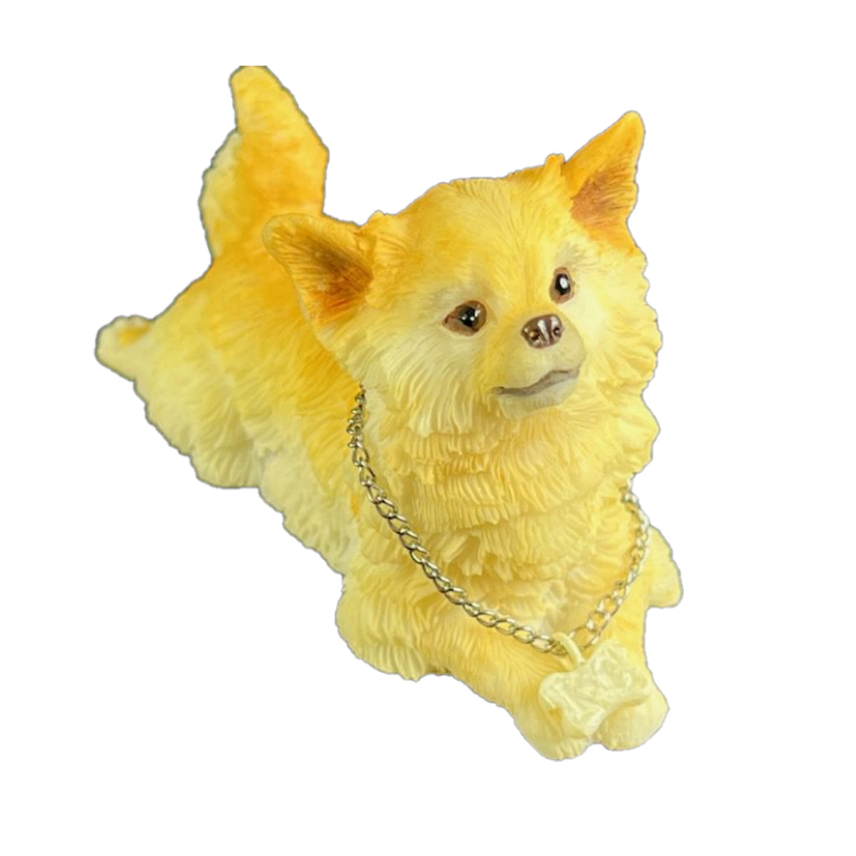 Chihuahua-Kennel Club Dogs*