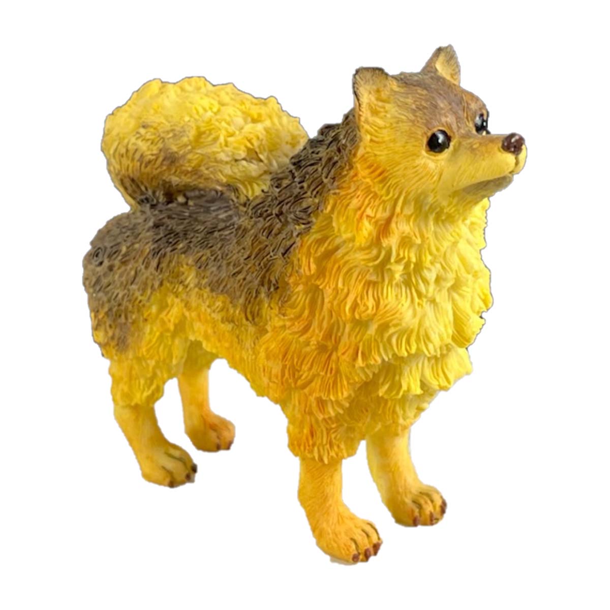German Spitz-Kennel Club Dogs