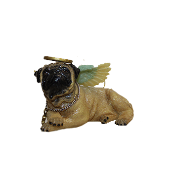 Pug Angel Dog